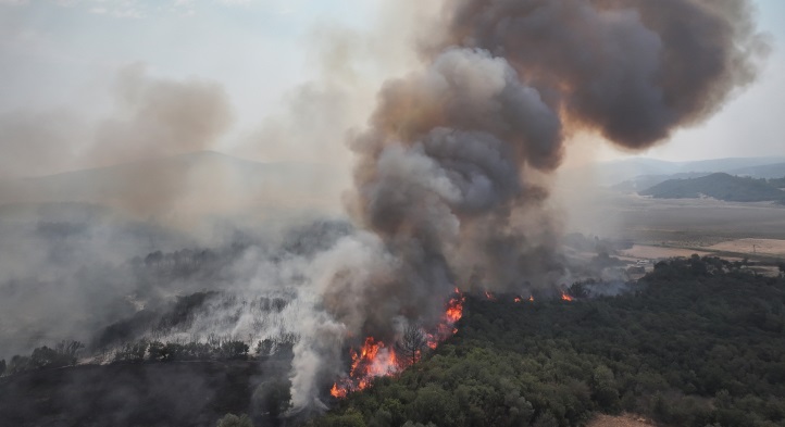 Orman yangınları (FOTO-AA)