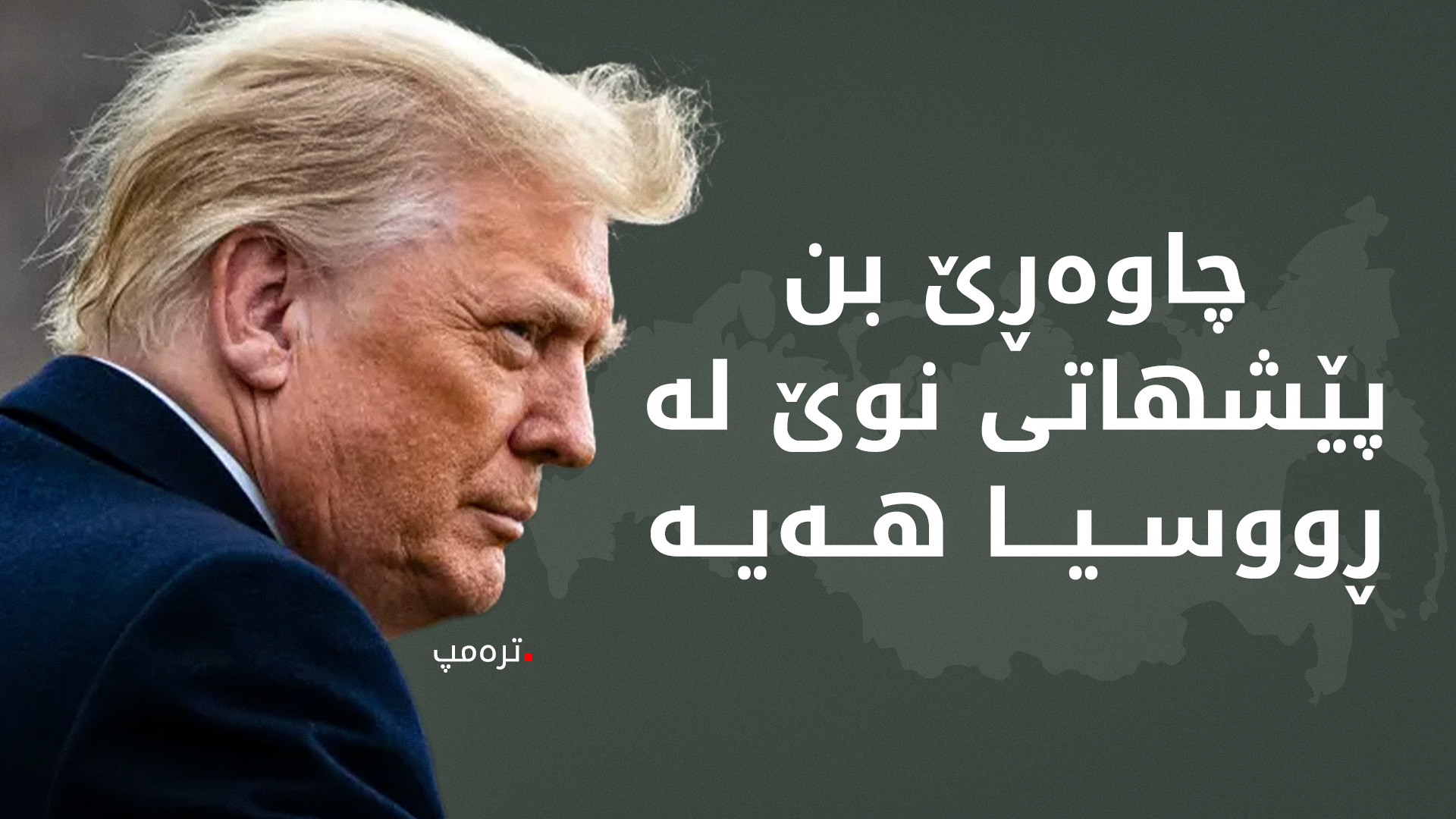 ستیڤ ویتکۆف، نێردەی تایبەتی ترەمپ