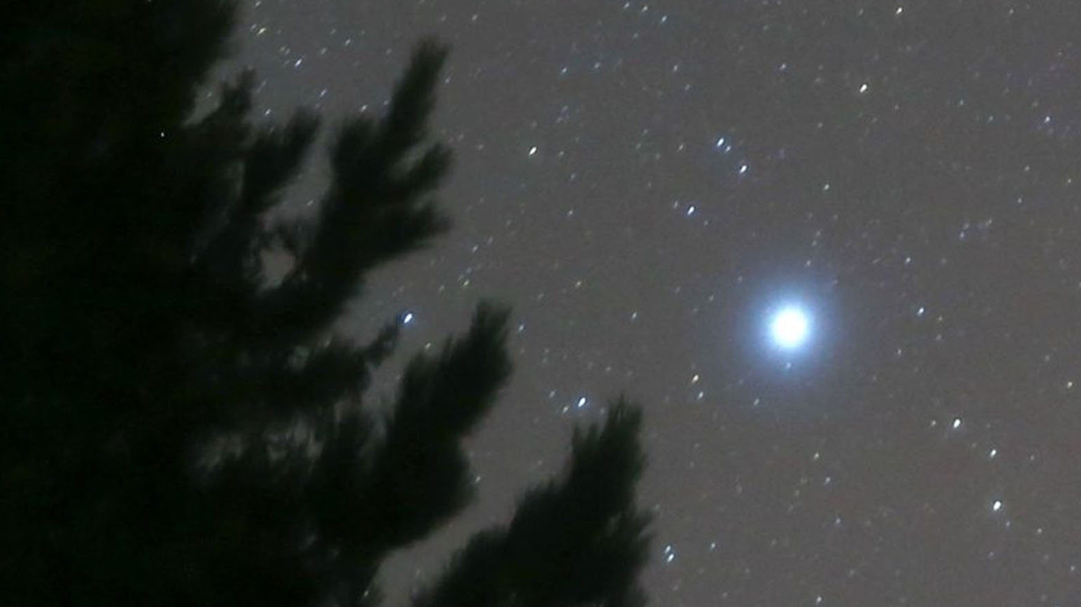 فەلەکناسێك: ئەستێرەی گەلاوێژ دەرکەوتووە و چله‌ی هاوین به‌ره‌و كۆتایی ده‌چێت