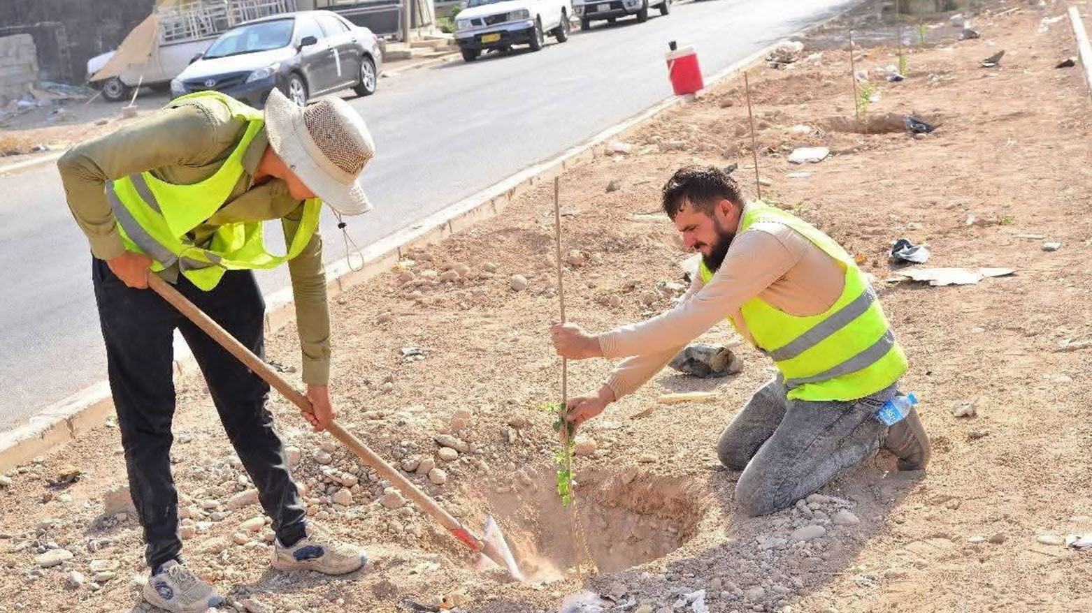 زراعة 350 شجرة في أحد أحياء أربيل اليوم