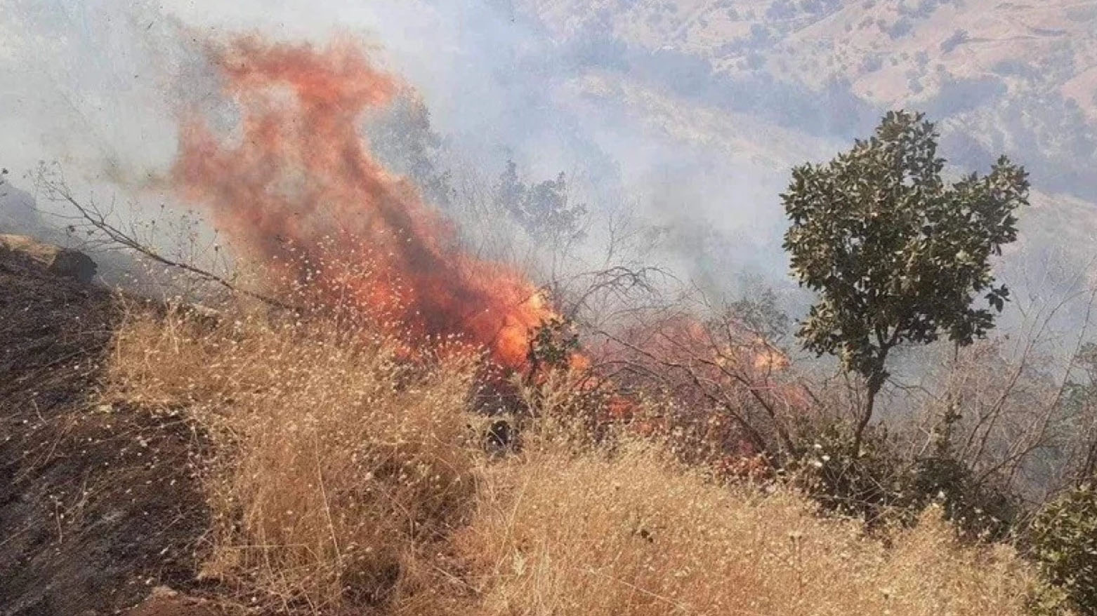 محافظة حلبجة تعلن السيطرة على حرائق الأراضي الزراعية