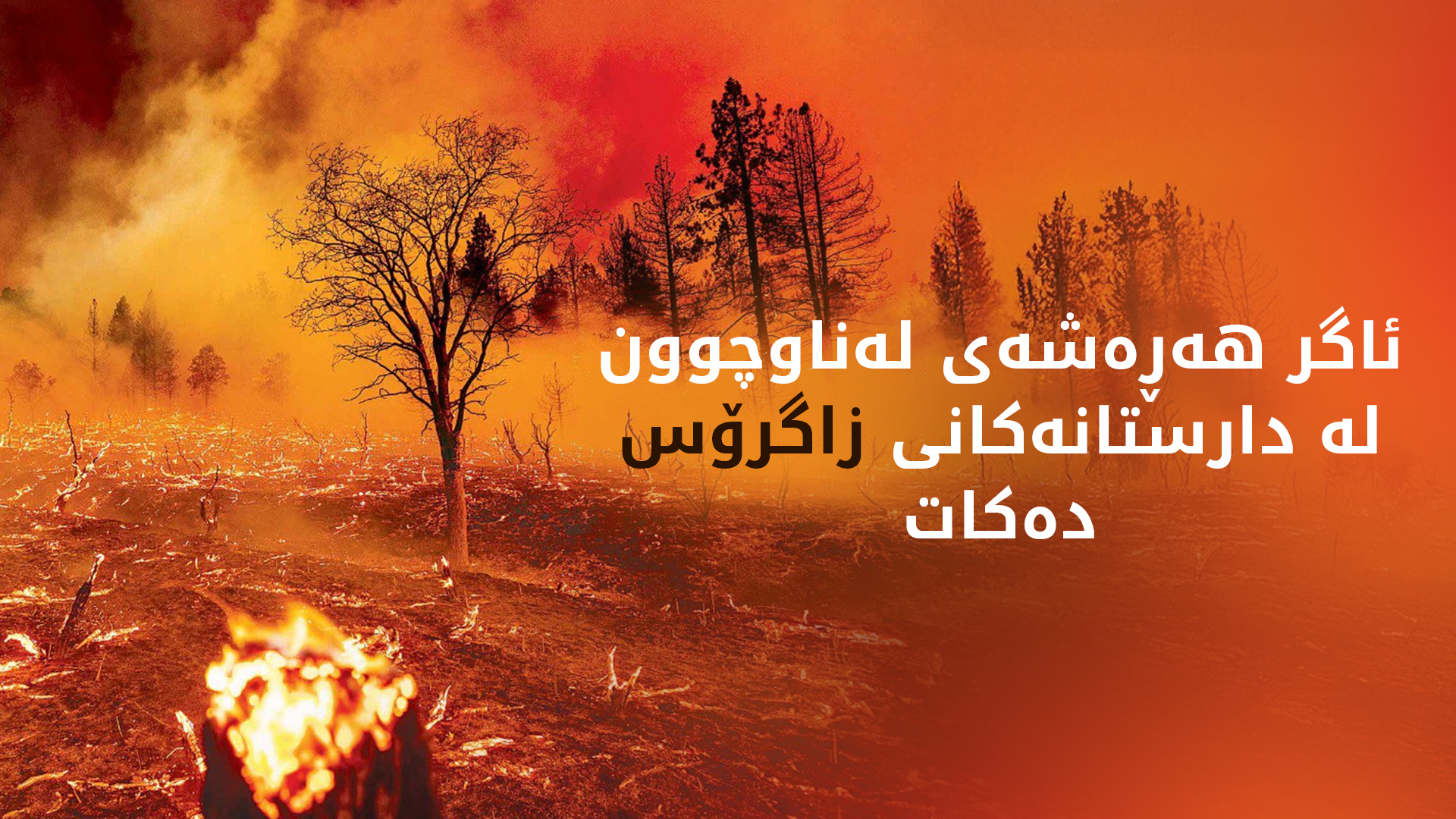 کێ فریای دارستانە بێنازەکانی زاگرۆس دەکەوێت؟