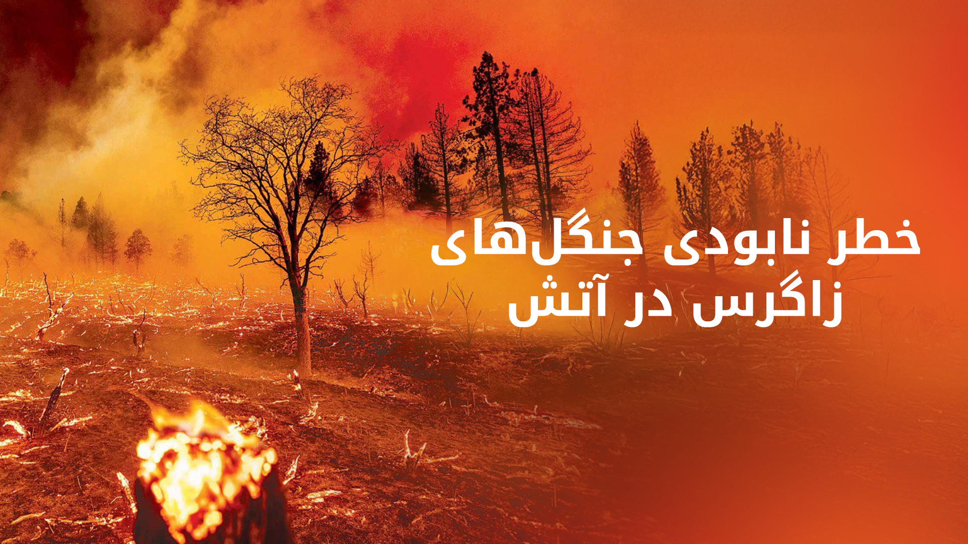 آتش‌سوزی در قلب زاگرس ادامه دارد