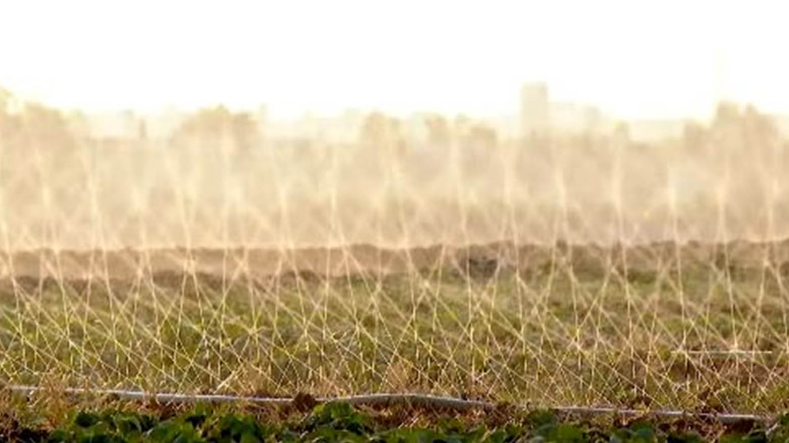 سۆندە بارانە