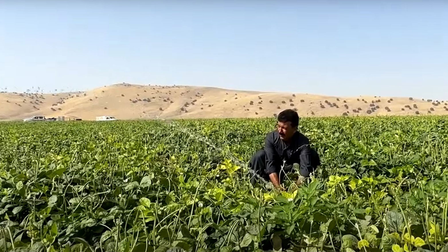 مزارعو رابرين يستخدمون طرائق جديدة لري المحاصيل
