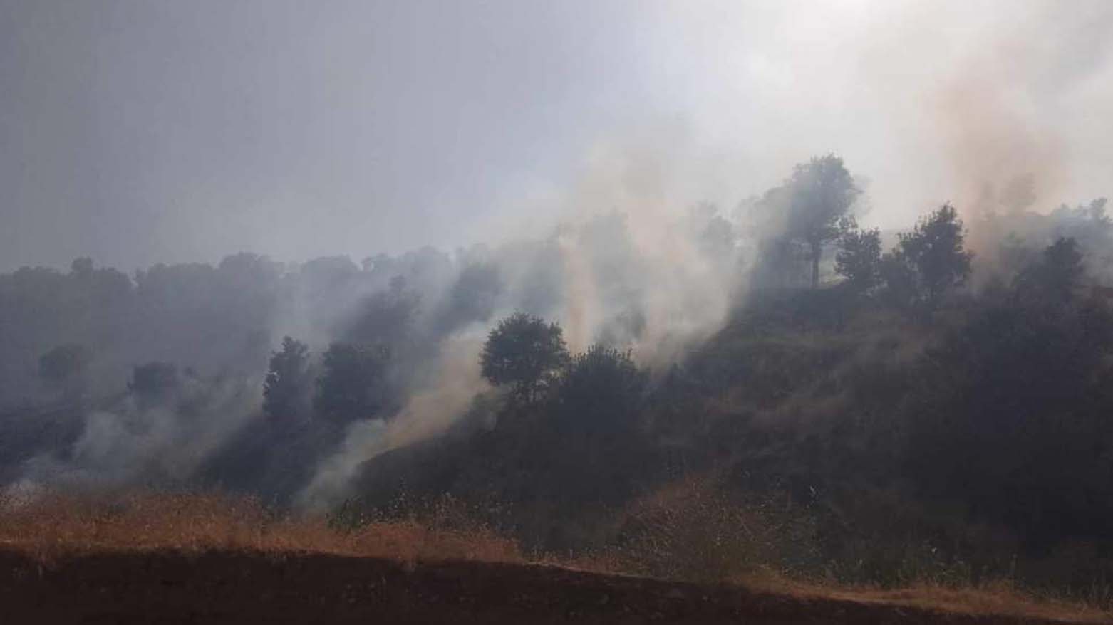 The photo shows the wildfire in Penjwen. (Photo: Kurdistan24)