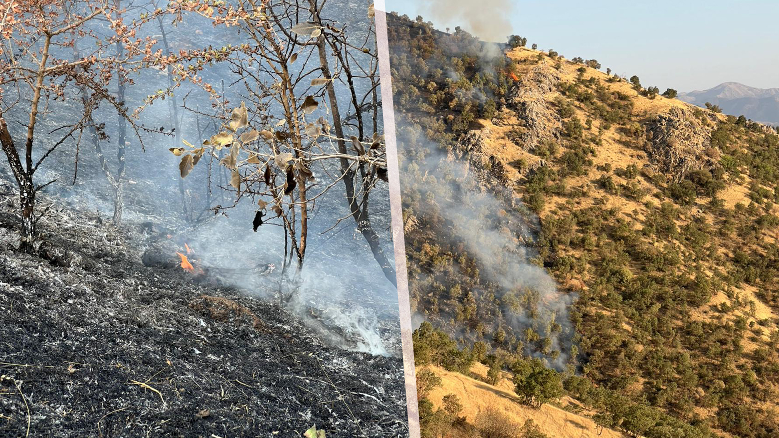 چەند دیمەنێک لە ئاگرەکەی پێنجوێن (وێنە: ئاسان محەممەد - کوردستان24)