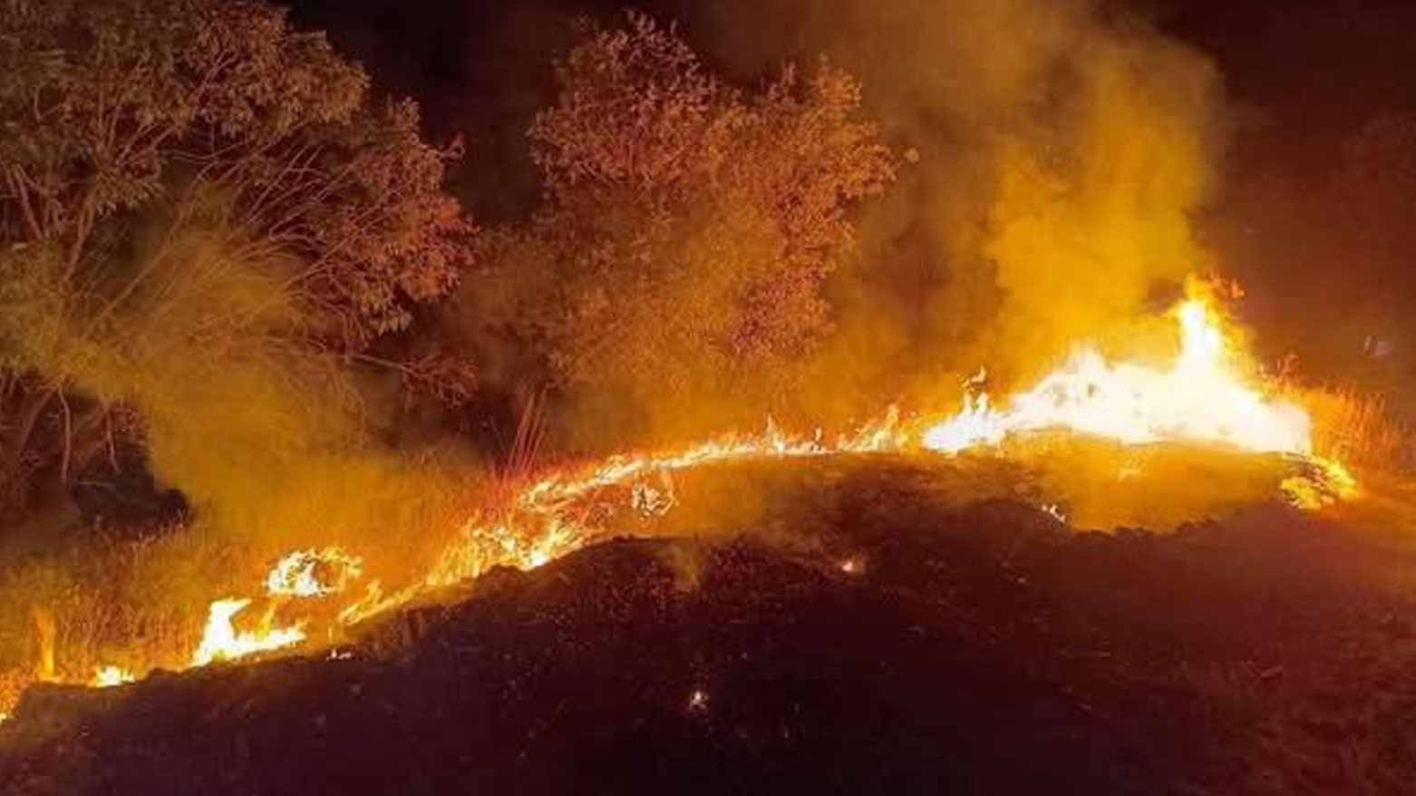 حريق غابات بنجوين يتوسّع.. ومطالبات بتدخل فرق الإطفاء الجوي