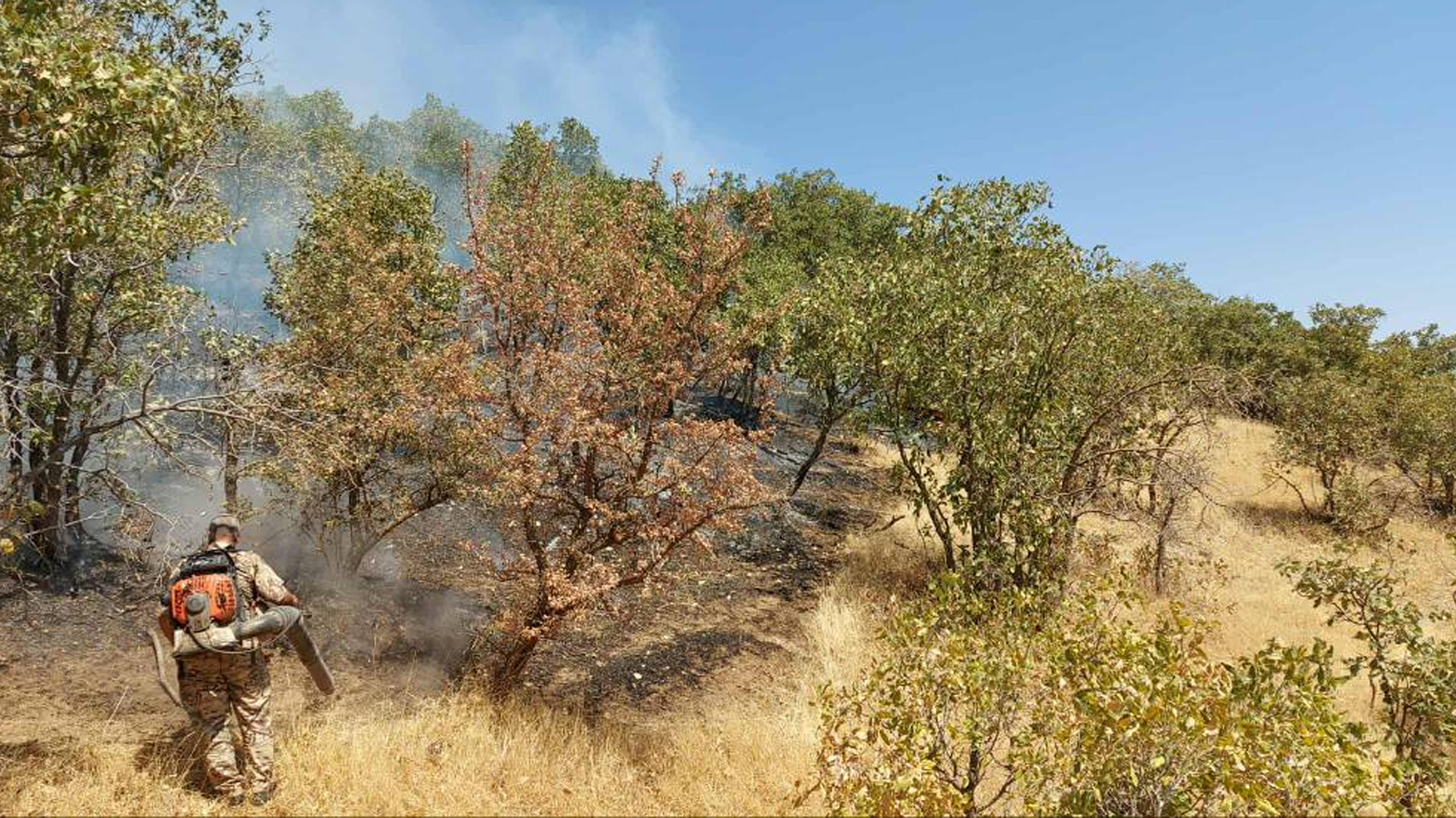 A Sulaimani Forestry and Environment Police officer extinguishes a fire. (Photo: Kurdistan24)