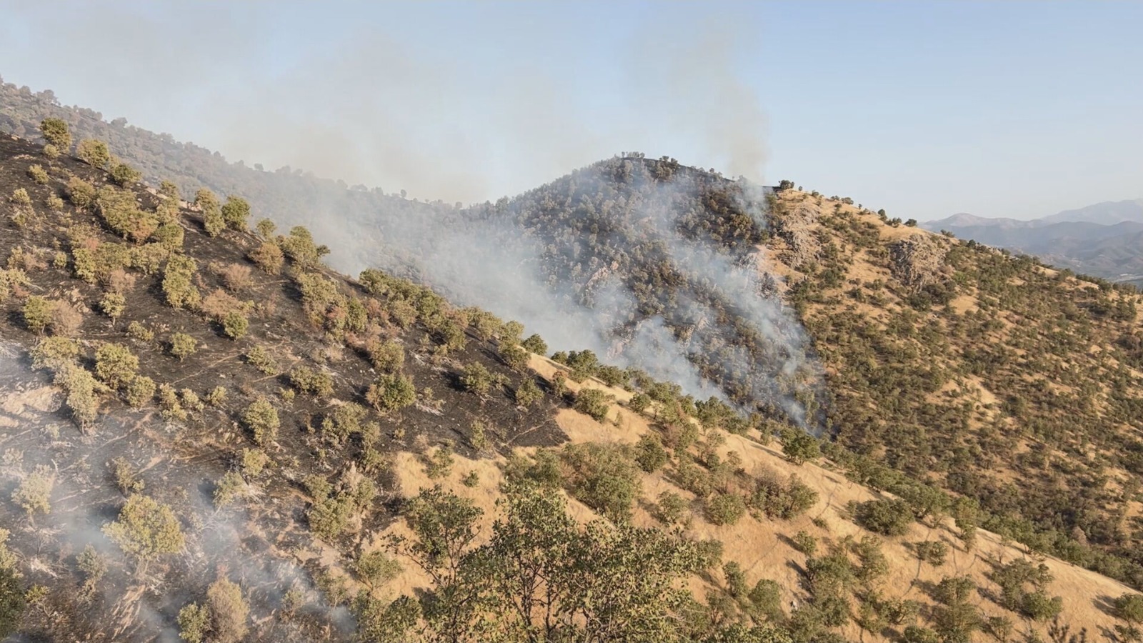 بعد 3 أيام من الجهود المضنية.. السيطرة على حريق بنجوين