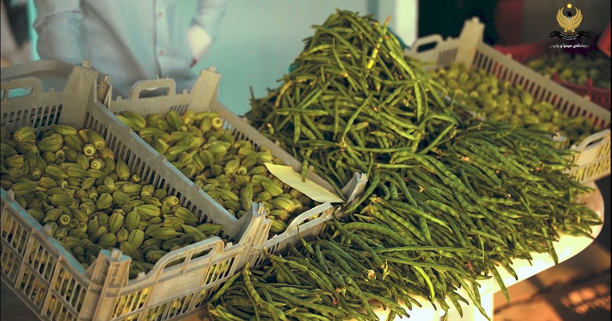 Locally grown vegetables on display at Halabja market. (Photo: KRG)