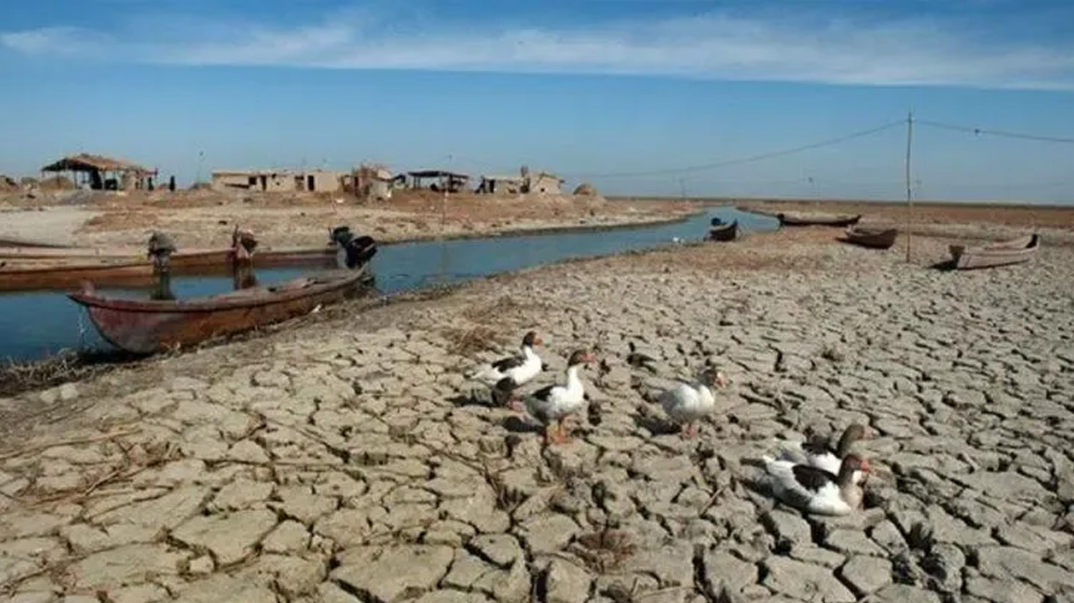 Yeşil Irak Gözlemevi uyardı: Irak su sorununu çözmeli