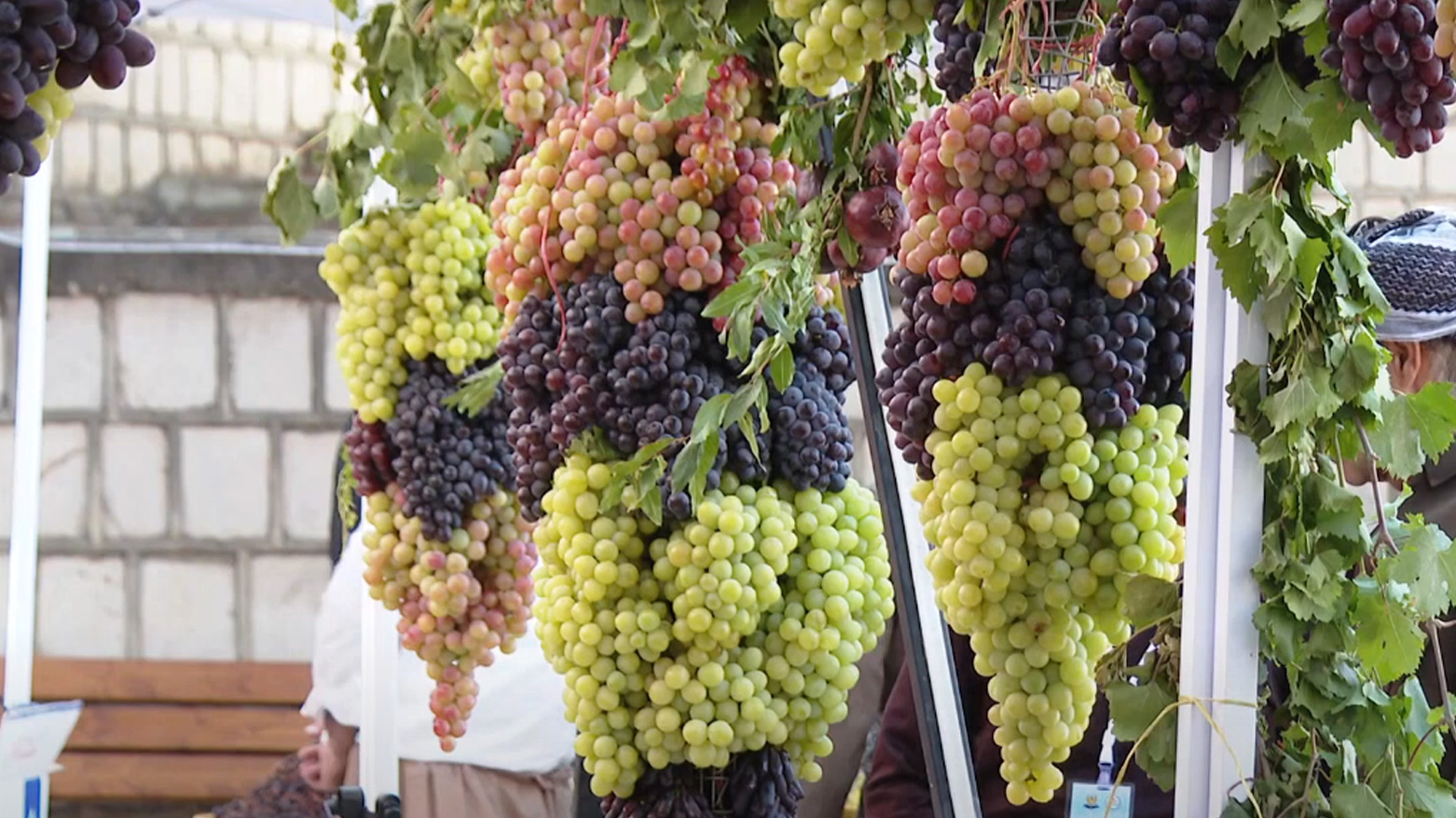 فێستیڤاڵی ترێ لە ڕواندز بەڕێوەچوو