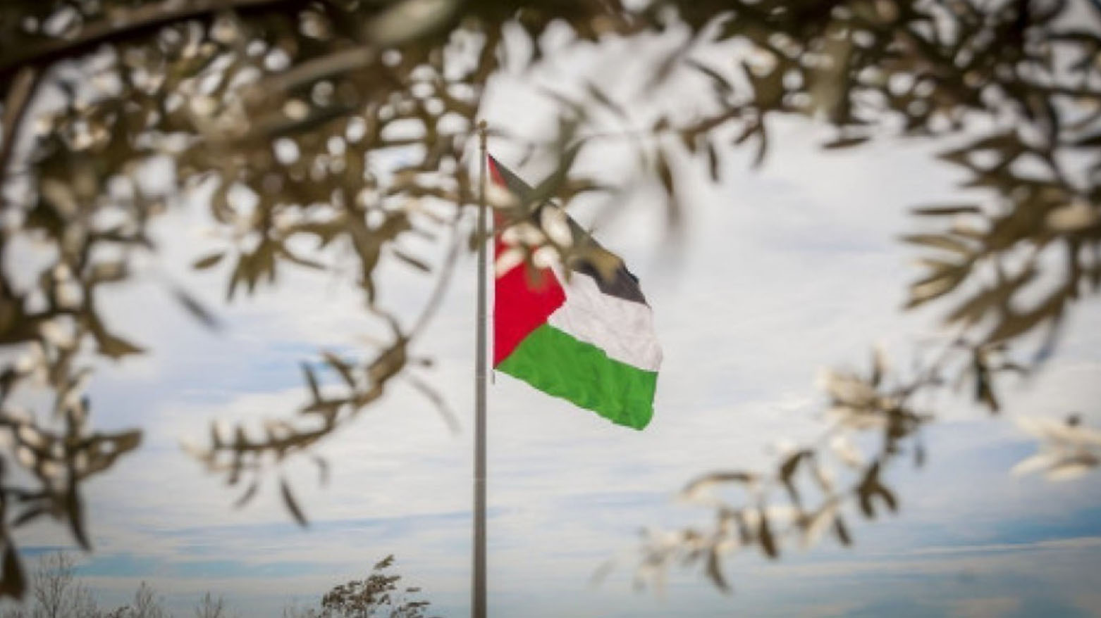 بلجيكا تعتزم الاعتراف بدولة فلسطين خلال الجمعية للعامة للأمم المتحدة