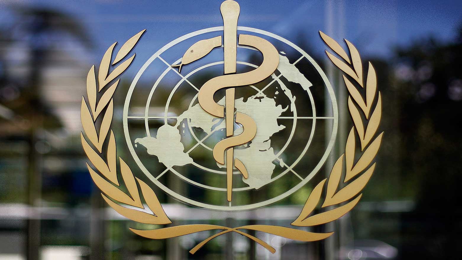 The logo of the World Health Organization is seen at the WHO headquarters in Geneva, Switzerland, June 11, 2009.