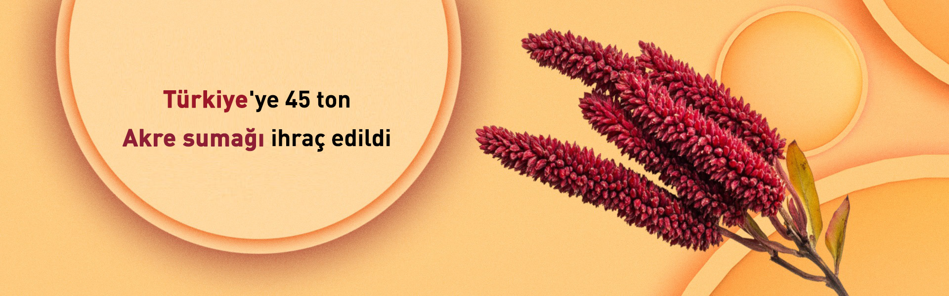 Türkiye'ye 45 ton Akre sumağı ihraç edildi