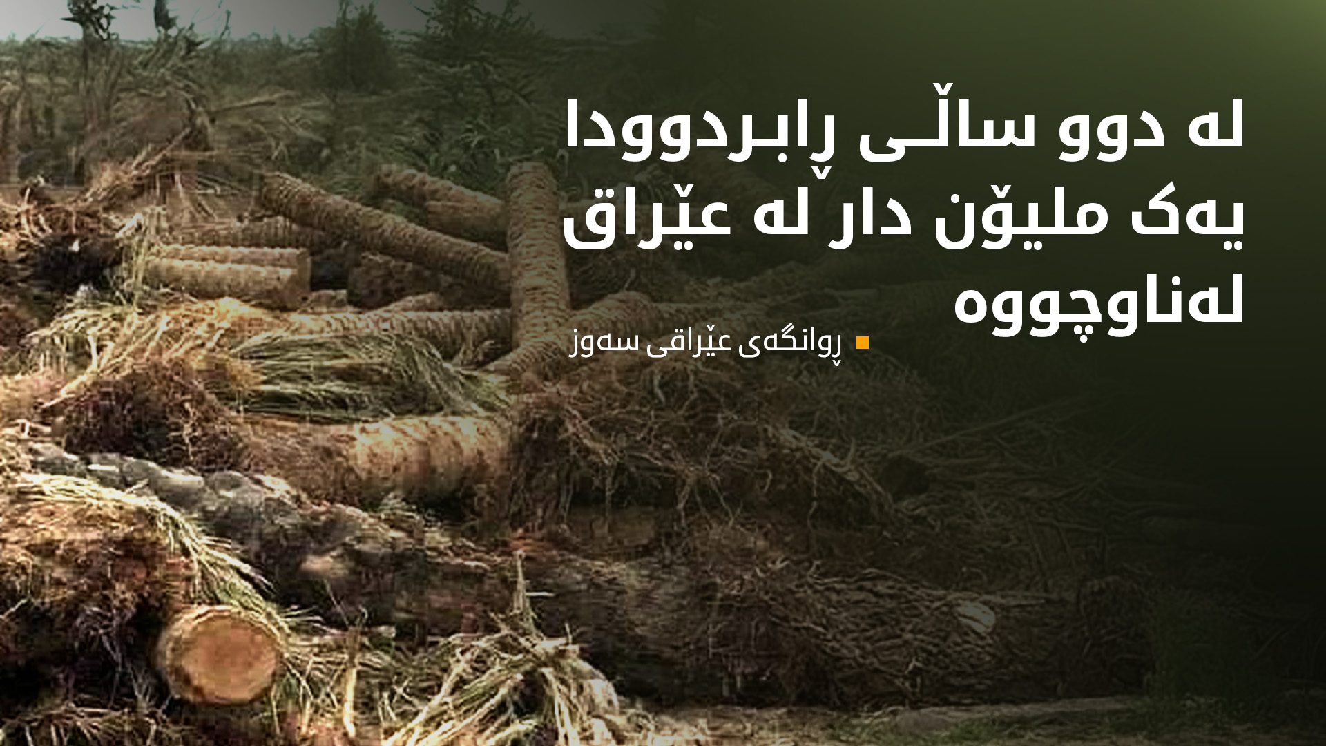 هۆکاری لەناوچوونی یەک ملیۆن دار لە عێراق ئاشکرا دەکرێت