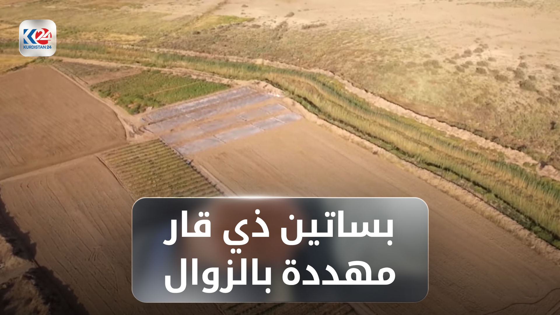 بساتين النخيل في ذي قار مهددة بالزوال بسبب التوسع العمراني والتصحر