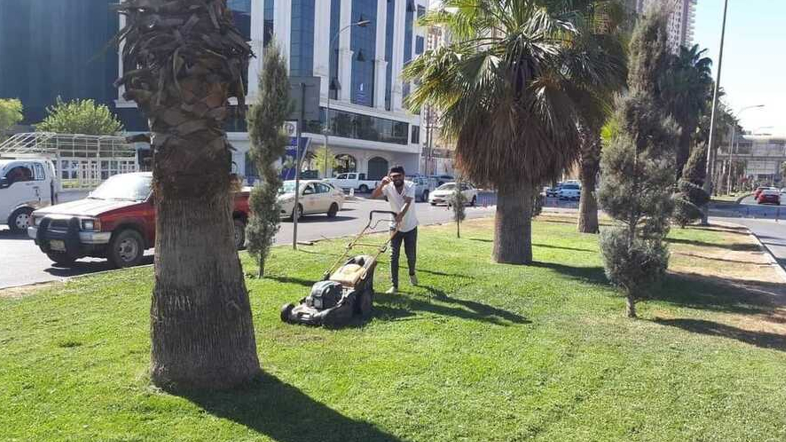 سەوزکردنی هەولێر بەردەوامە