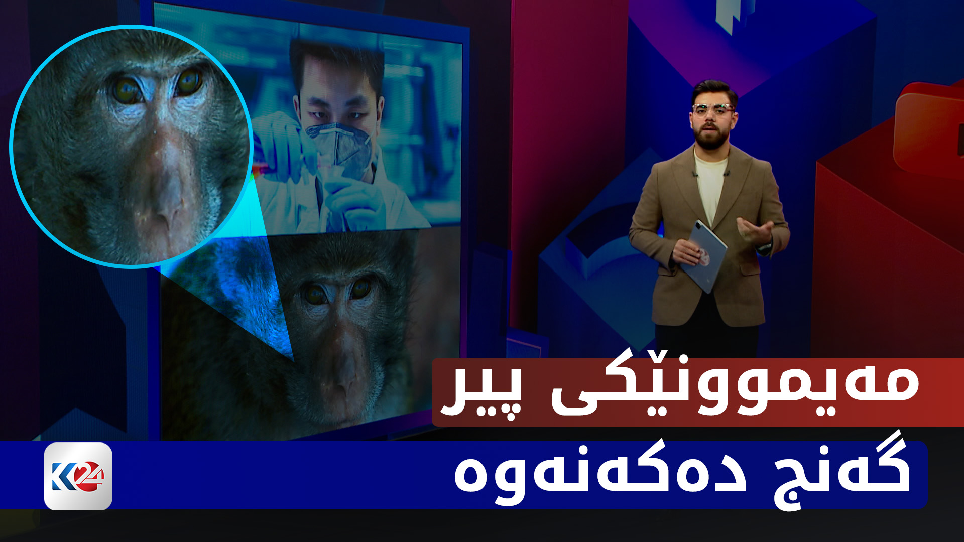 زانایانی چین "بەسەرکەوتوویی توانیان جەستەی مەیموونێک گەنجتر بکەنەوە"