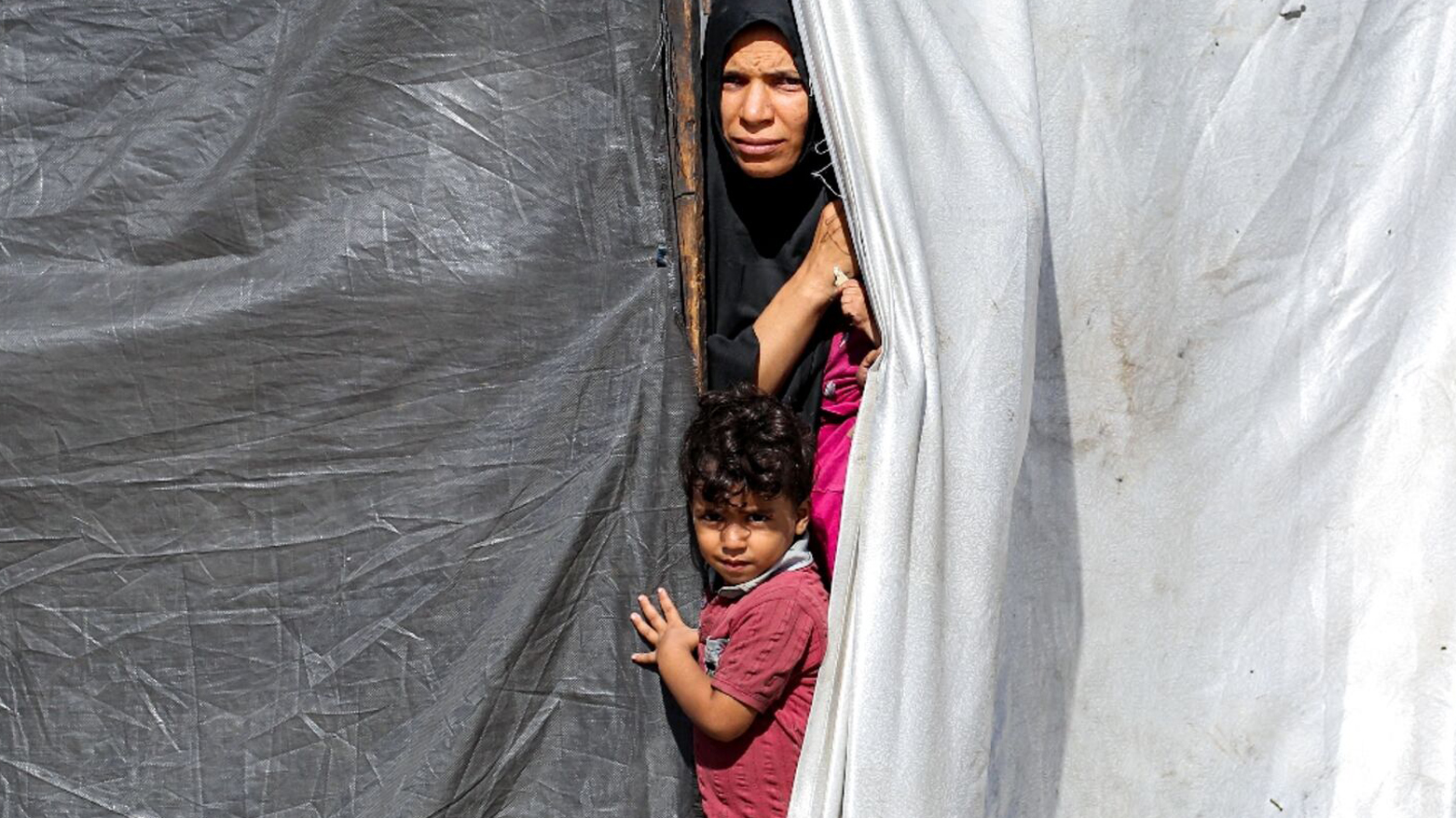 جنگ در غزه فاجعه انسانی به بار آورده است - عکس: Getty Images