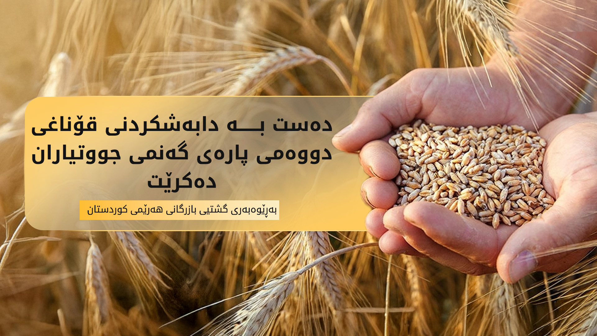 نەوزاد شێخ کامیل: دابەشکردنی قۆناغی دووەمی چەکی پارەی گەنمی جووتیاران دەست پێدەکات