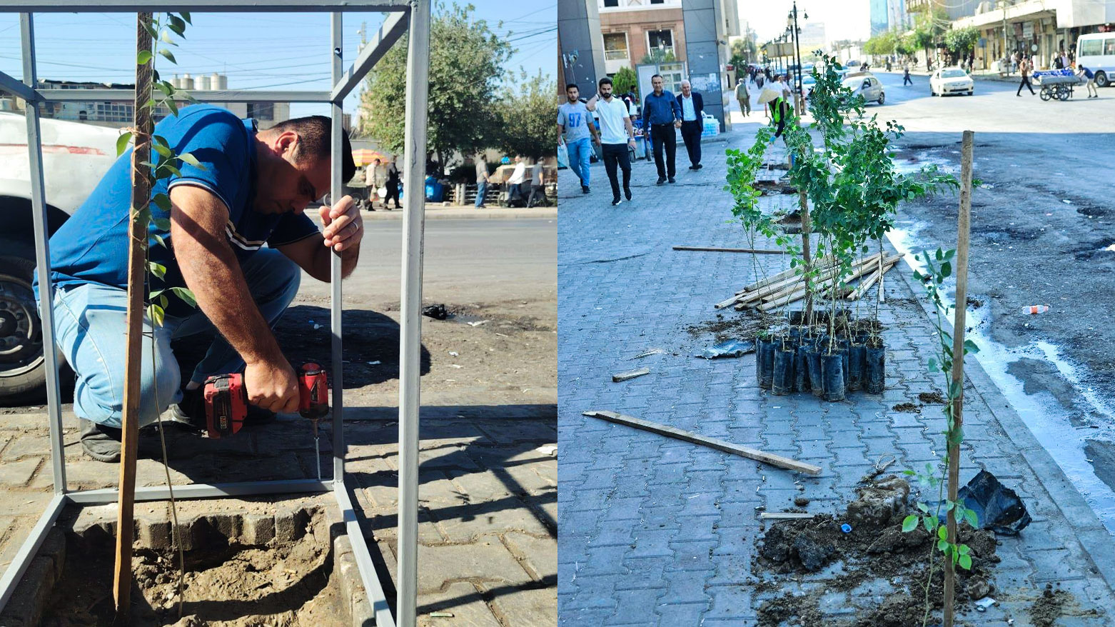 هەڵمەتی دار چاندنی ناو بازاڕی هەولێر