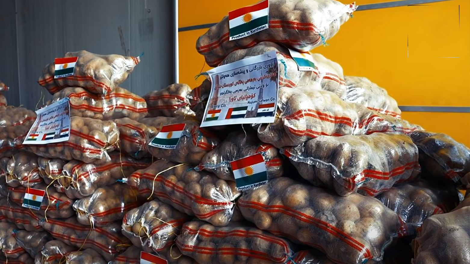 شەش هەزار تۆن پەتاتەی کوردستان هەناردەی دەرەوە دەکرێت