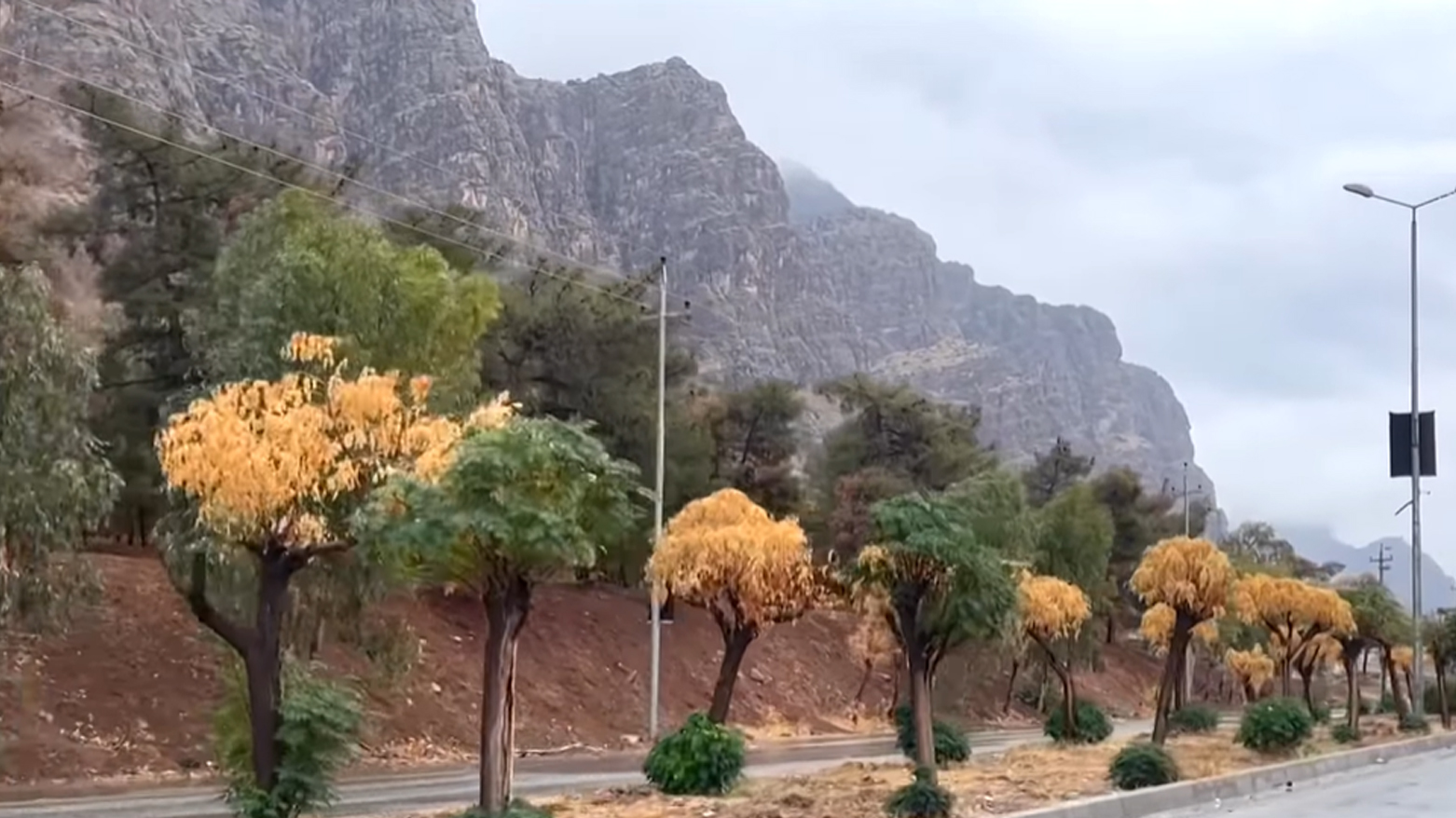 وشكه‌ساڵیی كاریگه‌ریی له‌سه‌ر ژینگه‌ی هه‌رێمی كوردستان كردووه‌