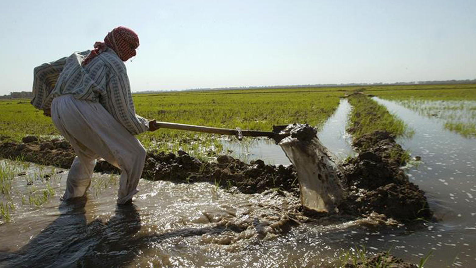 سەرۆکی ئەنجوومەنی پارێزگای سەڵاحەددین داوای بە هاناوەهاتنی جووتیاران دەکات