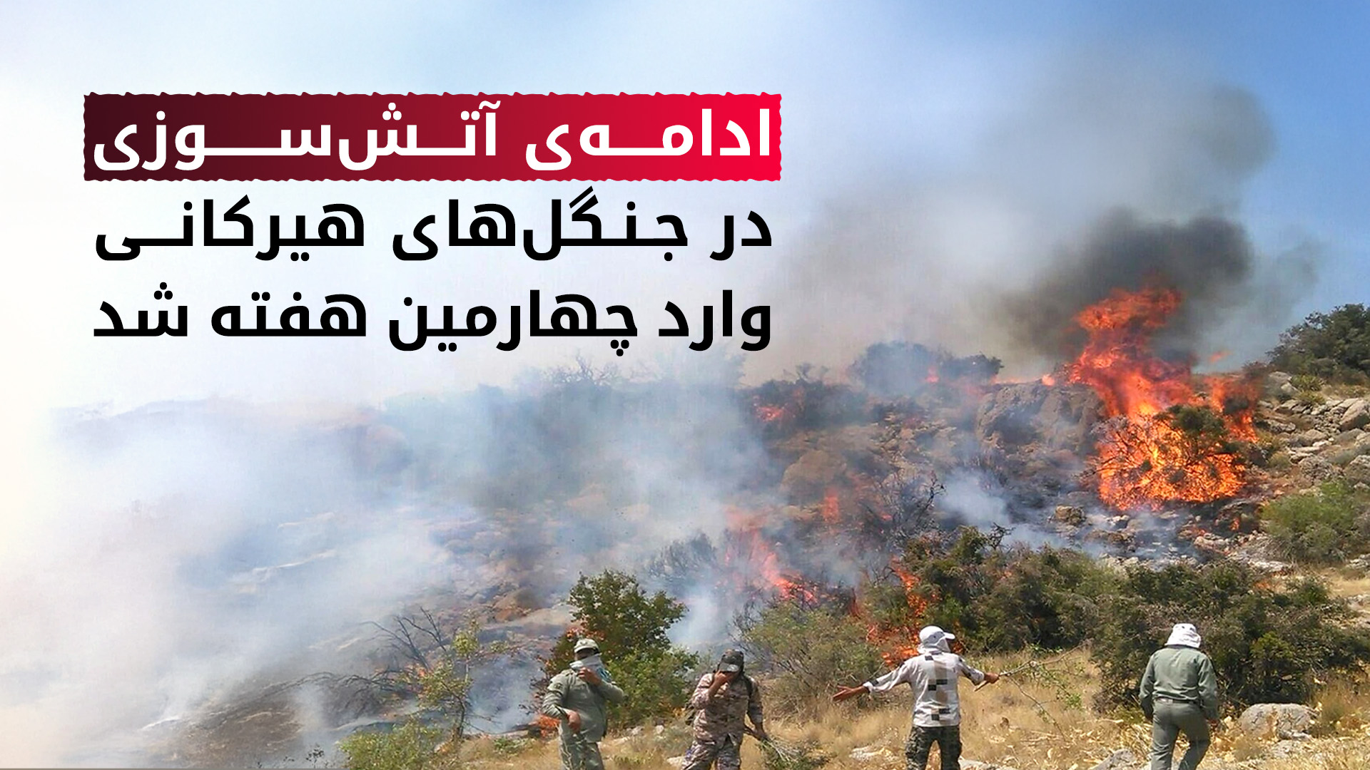 ادامه‌ی آتش‌سوزی در جنگل‌های هیرکانی؛ اعزام ناوگان هوایی ترکیه برای مهار آتش در ارتفاعات چالوس