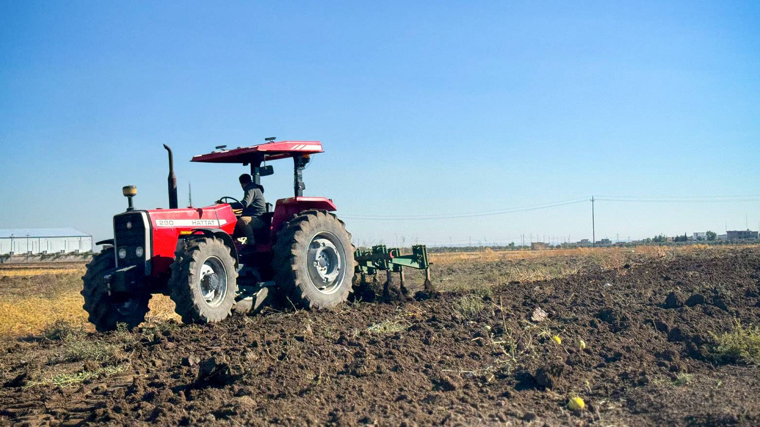 جووتیارانی دهۆک دوای بارانبارین دەستیان بە کێڵانی زەوییەکانیان کردەوە