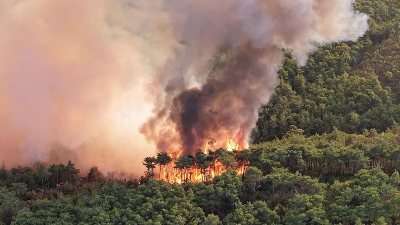 ادمه‌ی آتش‌سوزی در جنگل‌های شمال ایران