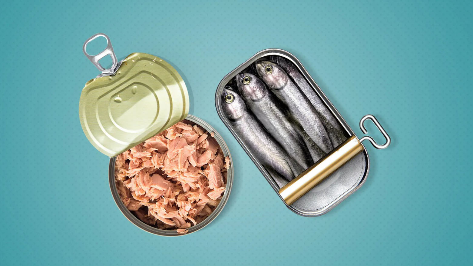 السردين أم التونة.. أيهما يحتوي على كمية أكبر من أوميغا-3 والبروتين؟