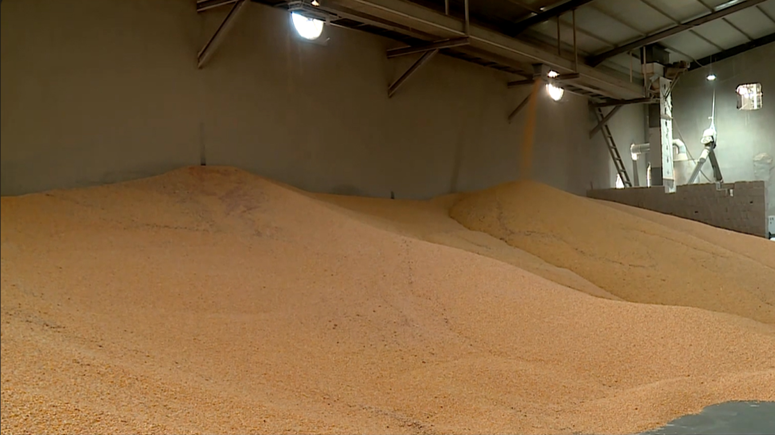 لە کوردستان وەبەرهێنانی کشتوکاڵ ساڵ دوای ساڵ زیاتر دەبێت