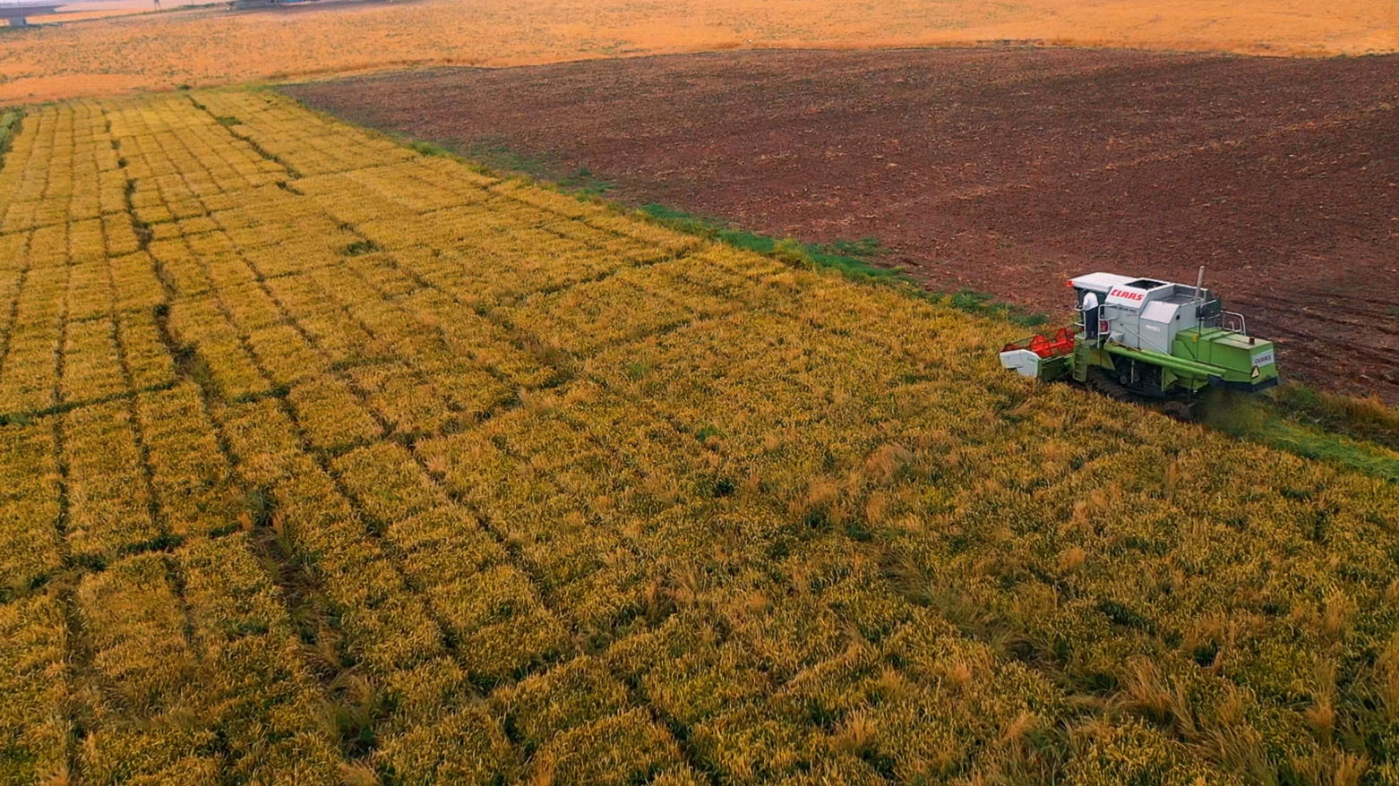 حكومة أقليم كوردستان تولي اهتماماً كبيراً بالاستثمار في القطاع الزراعي