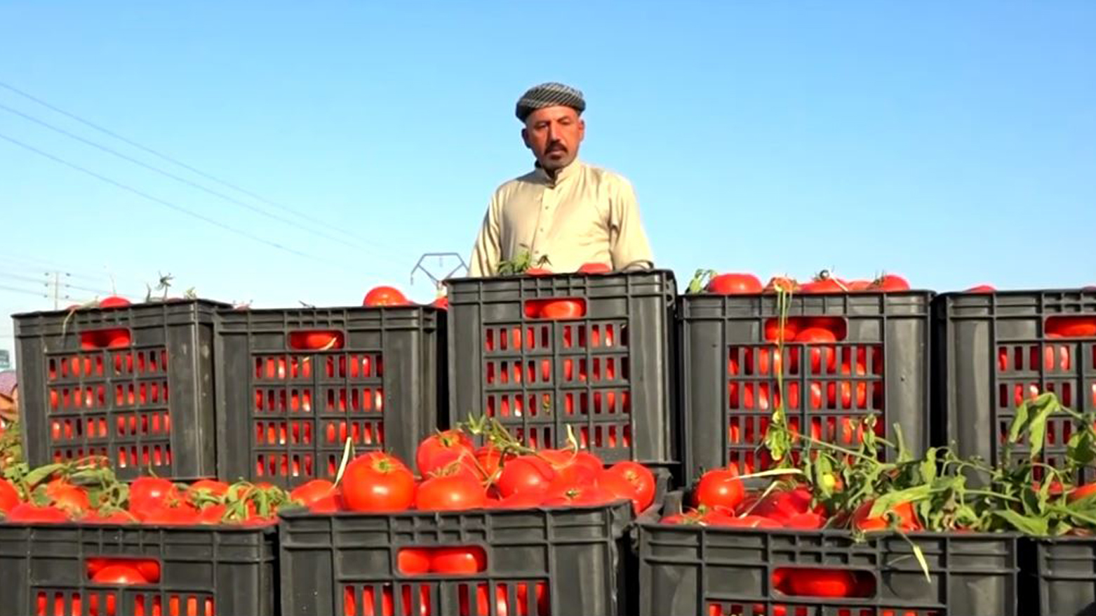 بڕیارێکی حکوومەتی عێراق جووتیارانی تووڕە کردووە