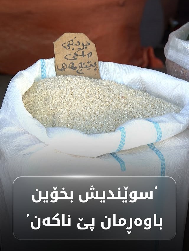 Kurdistan 24 - Instagram Social Post Banner