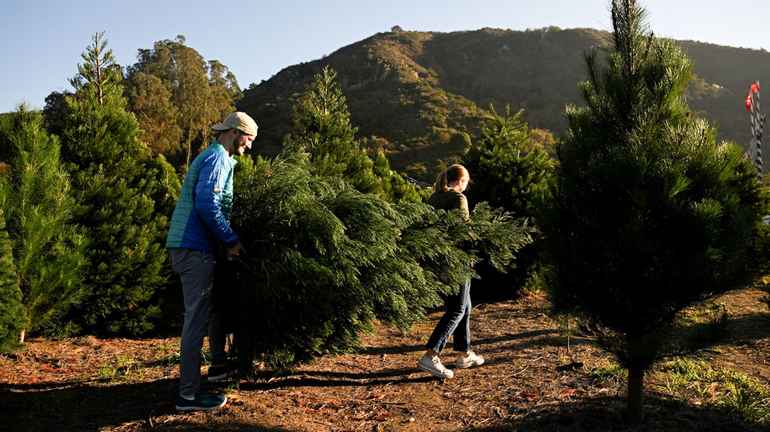 ئەمەریکییەکان ئامادەکاری بۆ کریسمیس دەکەن