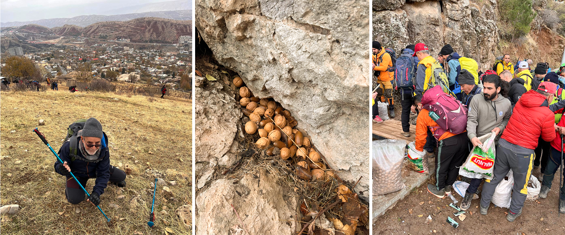 Federasyona Çiyageriyê Roja Çiyayan bi 3 çalakiyan pîroz kir