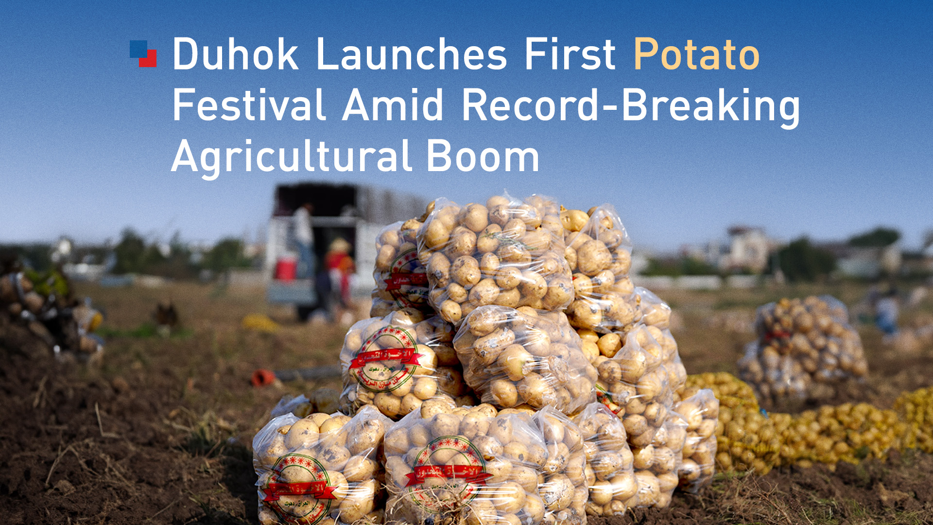 The photo shows harvested potatoes from a field in the Kurdistan Region. (Photo: Kurdistan24)