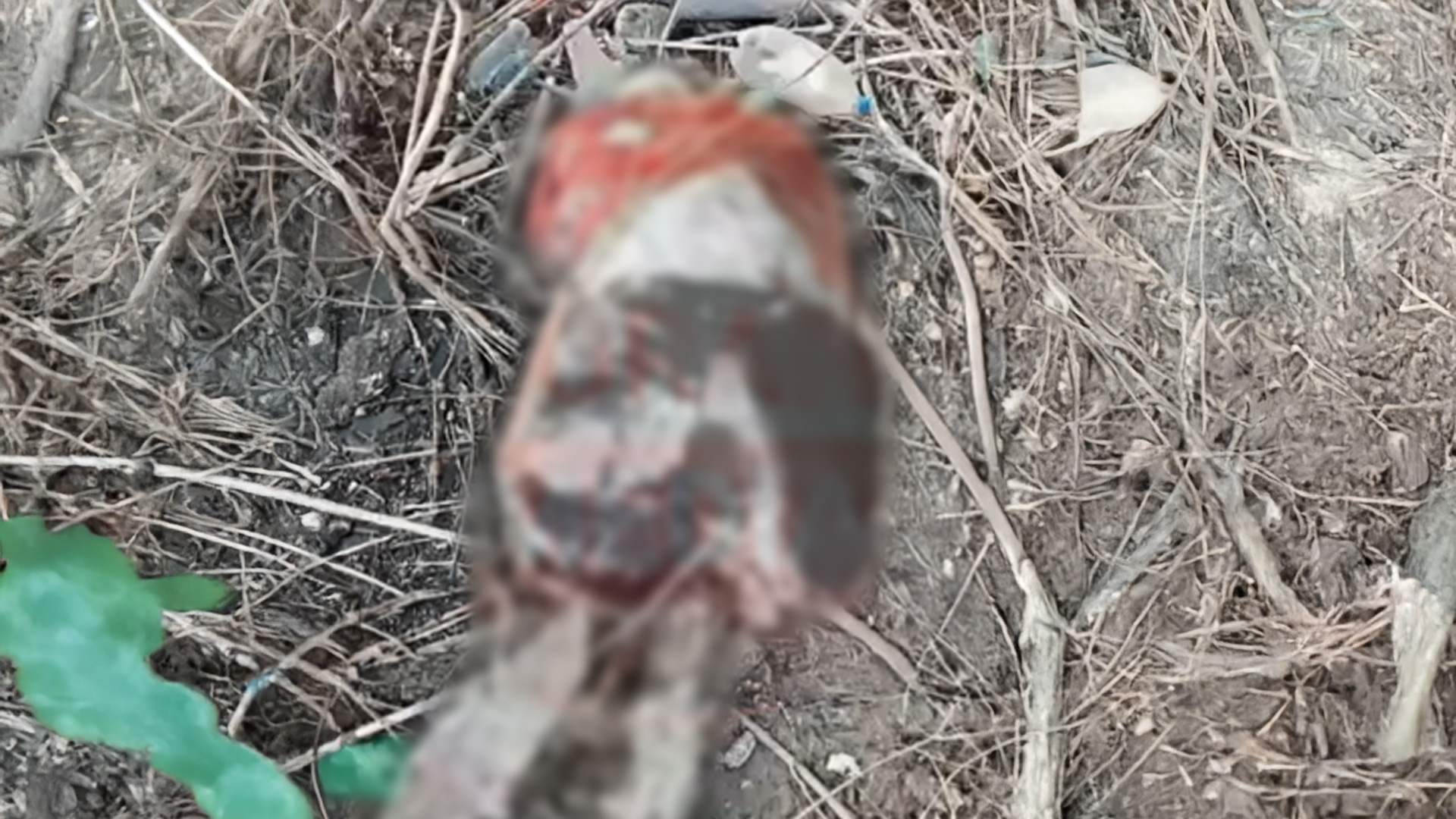 بەرگریی شارستانی سۆران: تەرمی کەسێکی نەناسراو کە گومان دەکرێت ئاڤێستا بێت لە نێو زێی گەورە دۆزرایەوە