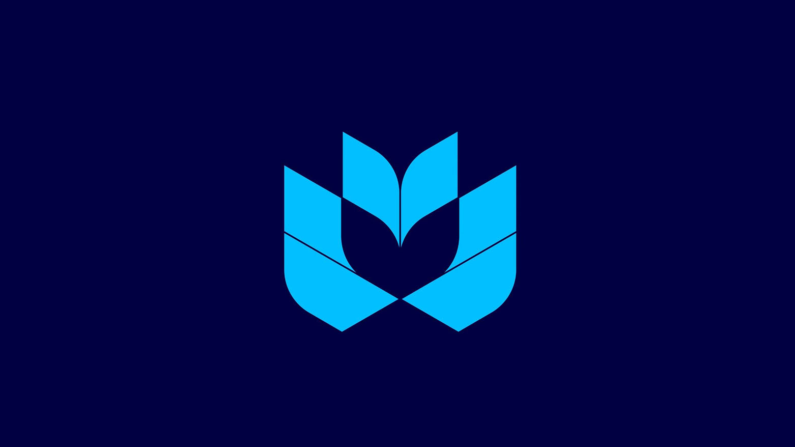 "كوردستان فاونديشن" تترجم رؤية البناء والانتماء على أرض جمجمال