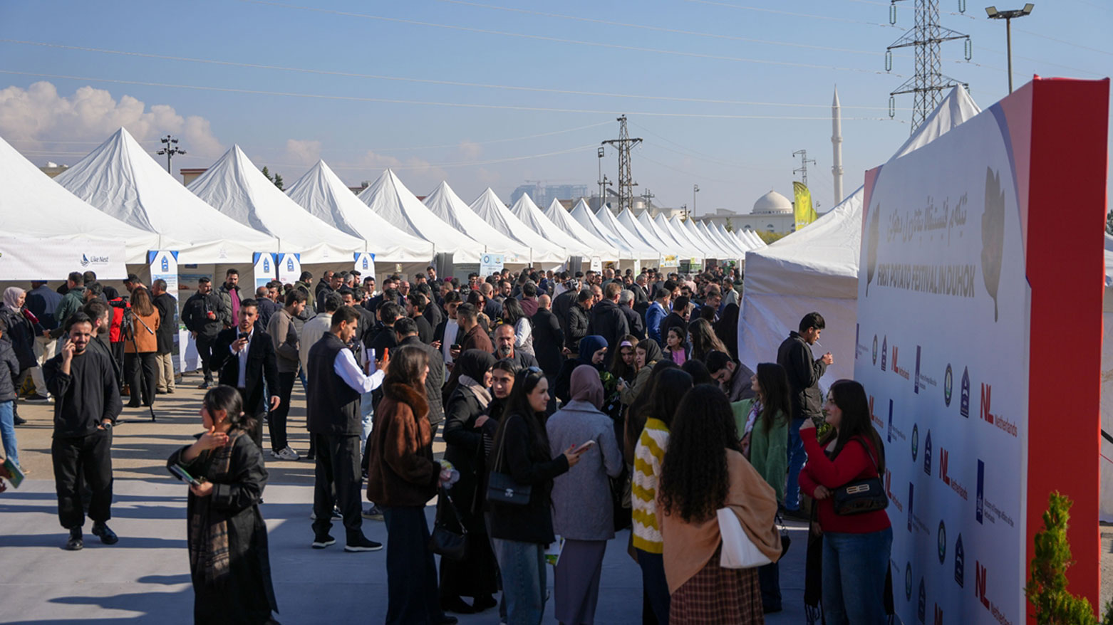 یەکەمین فێستیڤاڵی پەتاتە لە دهۆک