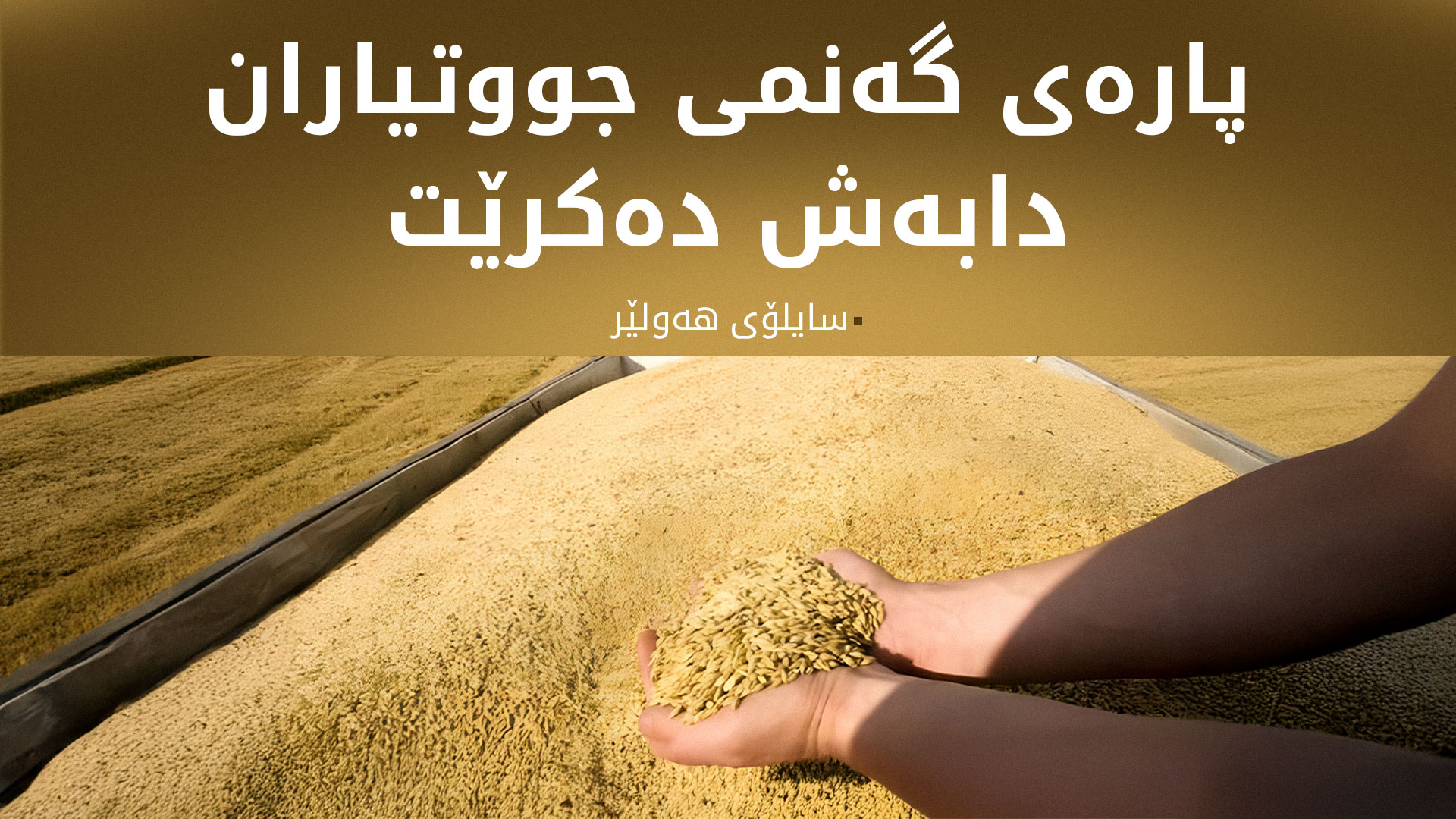 سایلۆی هەولێر: سبەینێ دابەشکردنی پارەی گەنمی جووتیاران دەستپێدەکات