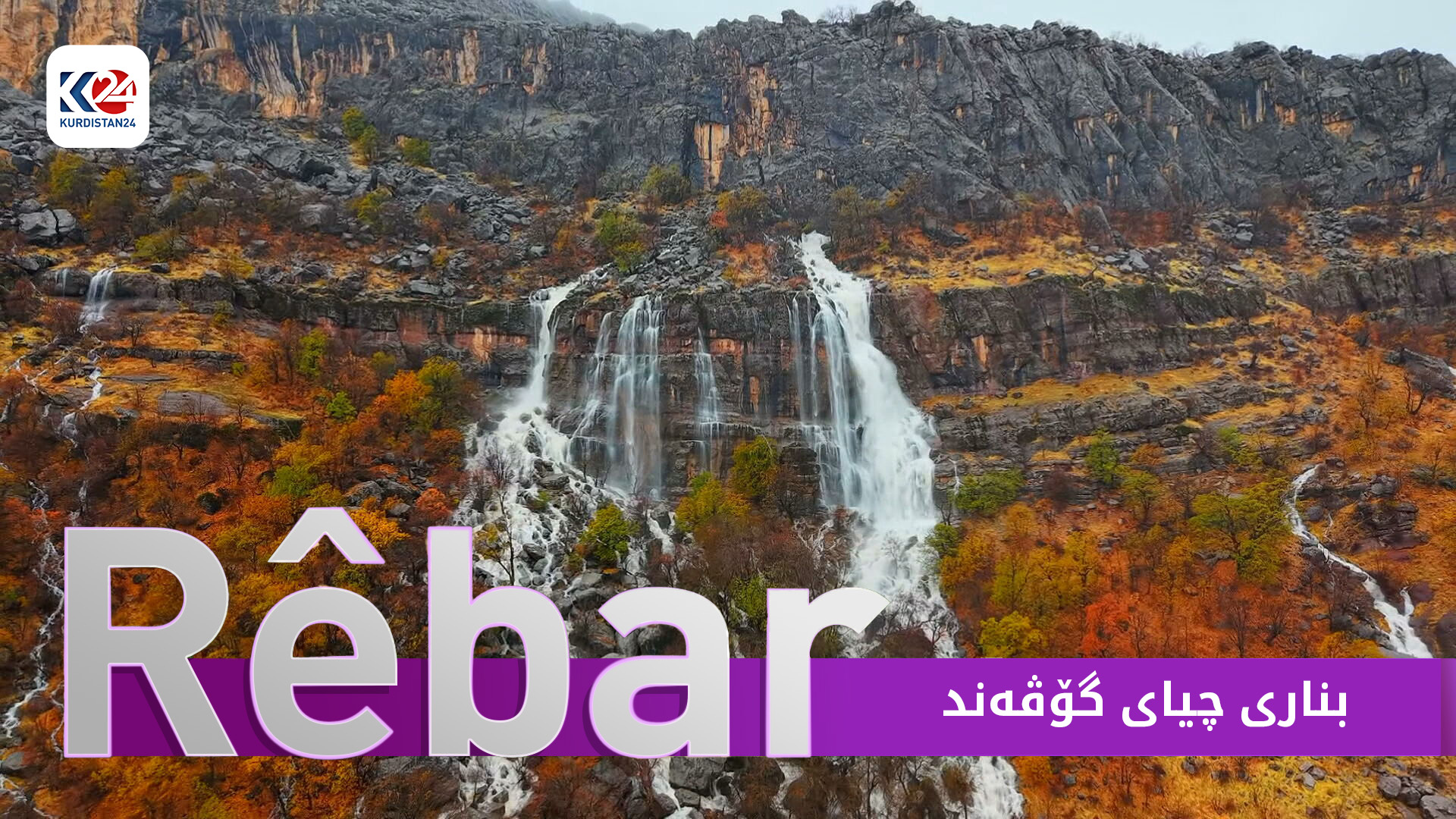 بناری چیای گۆڤەند