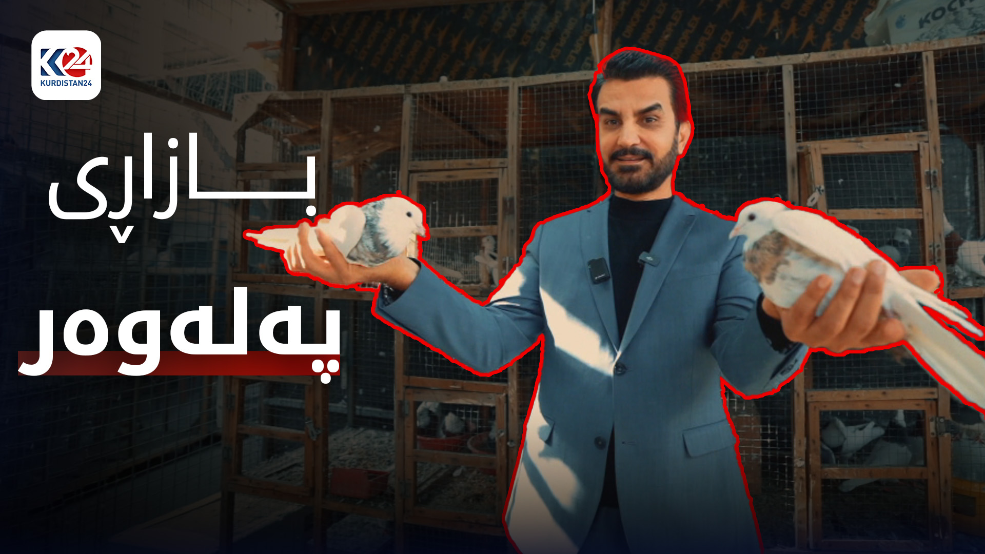 بازاڕی پەلەوەری هەولێر