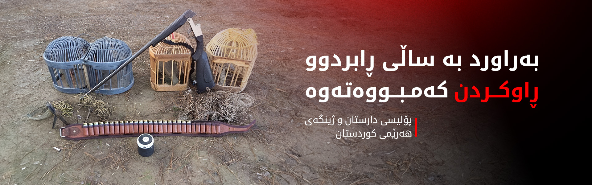 پۆلیسی دارستان و ژینگە: ڕاوکردنی نایاسایی کەمبووەتەوە