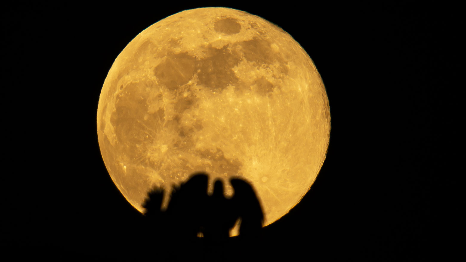 دەرکەوتنی مانگی پڕ لە هەولێر