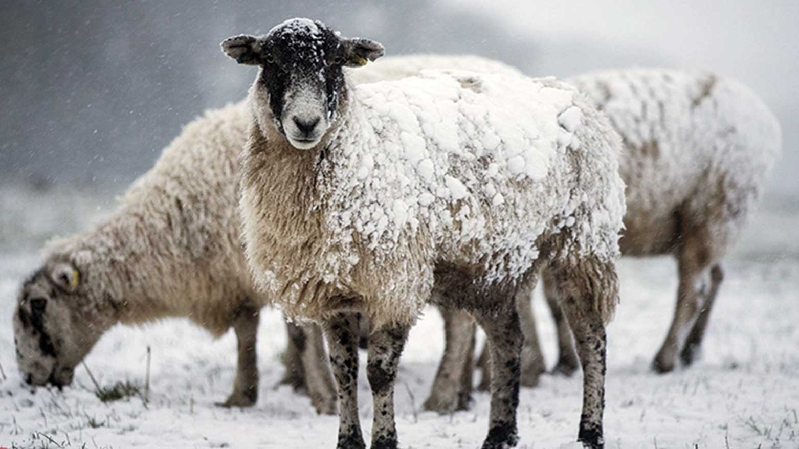 بەڕێوەبەرایەتیی کەشناسیی ورمێ هۆشداری دەدات